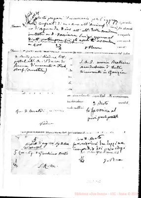 Fotogramma D 12