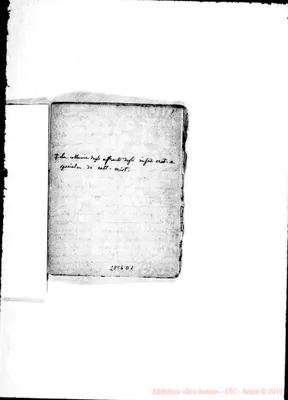 Fotogramma D 1