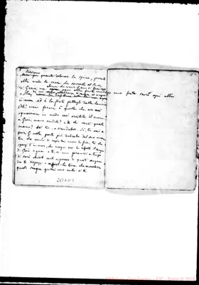 Fotogramma D 3