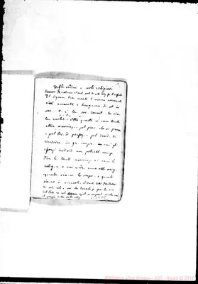 Fotogramma D 8
