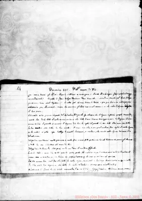 Fotogramma C 5