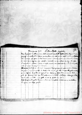 Fotogramma C 8