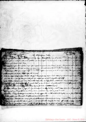 Fotogramma D 3
