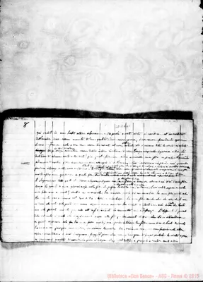 Fotogramma D 11