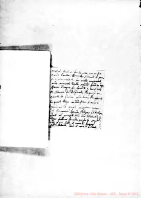 Fotogramma C 11