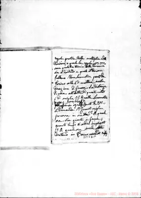 Fotogramma D 11