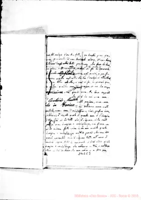 Fotogramma C 3