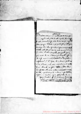 Fotogramma C 4