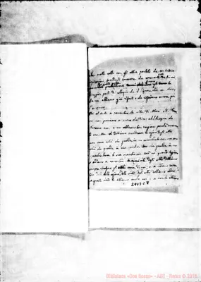Fotogramma C 8