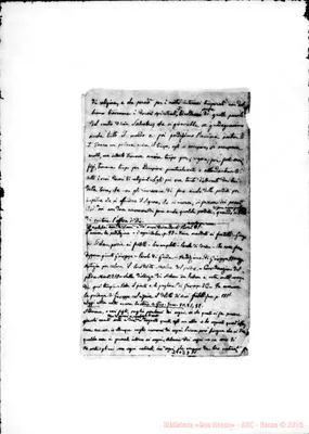 Fotogramma D 11
