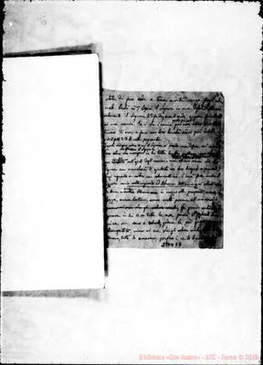 Fotogramma C 6