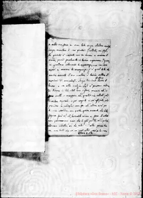 Fotogramma D 12