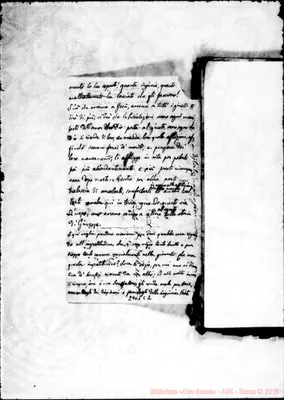Fotogramma C 2