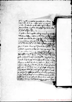 Fotogramma C 4