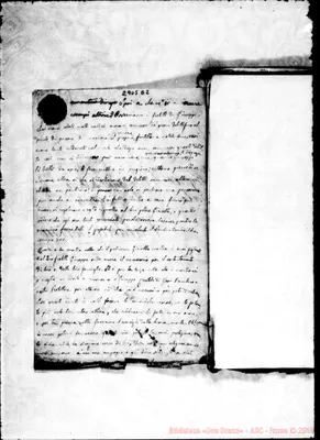 Fotogramma D 2