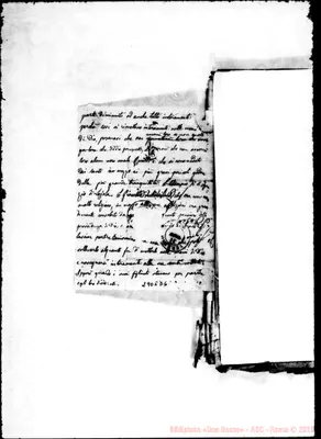 Fotogramma D 6