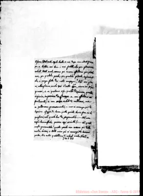 Fotogramma D 8