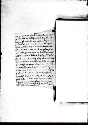 Fotogramma E 8