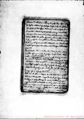 Fotogramma C 5