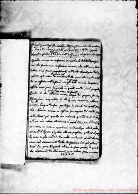 Fotogramma C 11