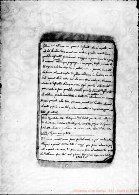 Fotogramma D 11