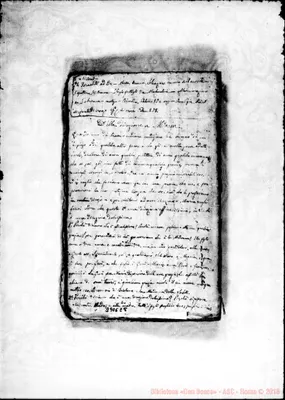 Fotogramma E 8