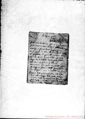 Fotogramma C 1