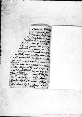 Fotogramma C 6