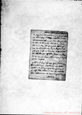 Fotogramma C 11