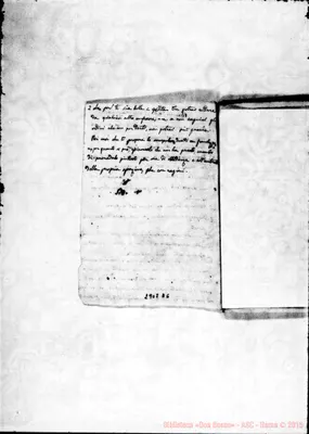 Fotogramma D 6