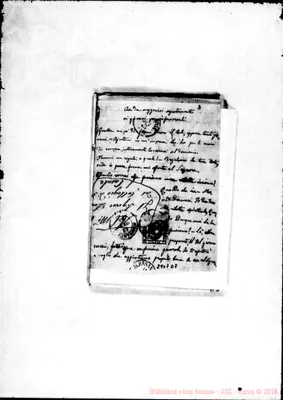 Fotogramma D 7