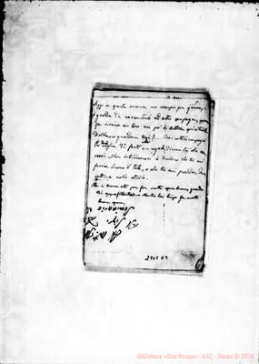 Fotogramma D 9
