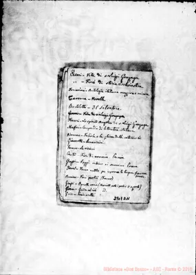 Fotogramma D 11