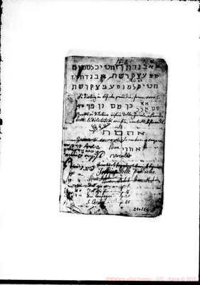 Fotogramma E 6