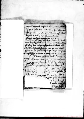 Fotogramma E 8