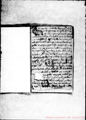 Fotogramma C 5