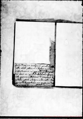 Fotogramma C 8