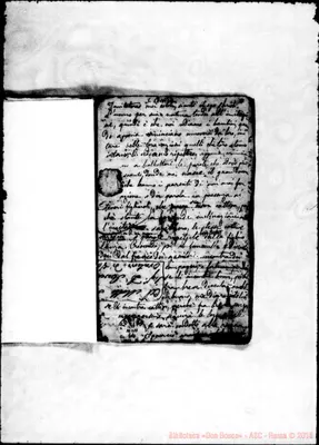 Fotogramma C 11