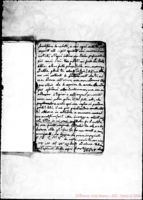 Fotogramma D 5