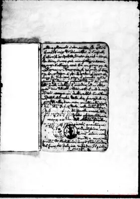 Fotogramma D 11