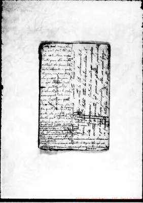 Fotogramma E 4