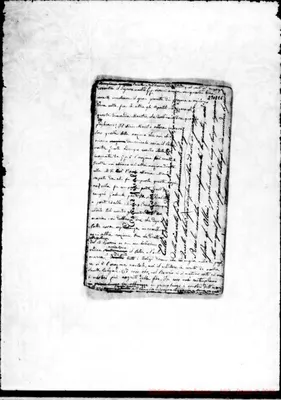 Fotogramma E 6