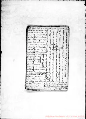 Fotogramma E 8
