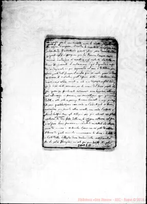 Fotogramma E 11