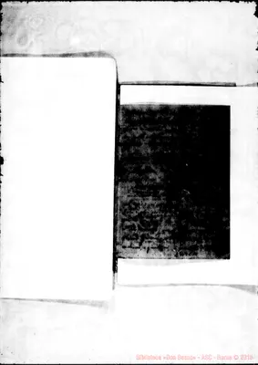 Fotogramma C 10