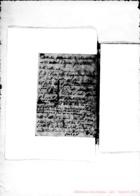 Fotogramma C 11