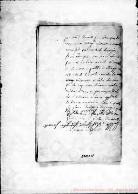 Fotogramma C 11