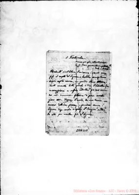 Fotogramma D 11