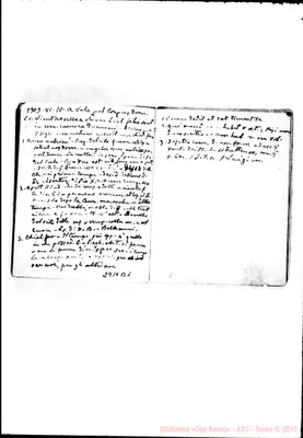 Fotogramma B 1
