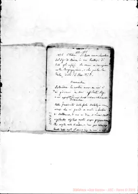 Fotogramma D 3